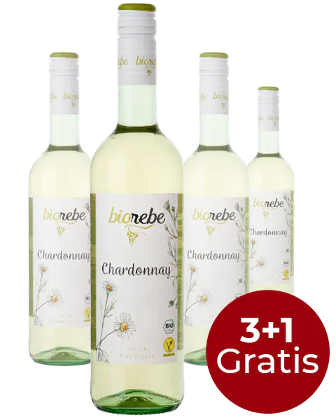 Kwaadaardig leef ermee projector Biorebe Chardonnay (3+1 Gratis) online kopen? | Drankgigant.nl