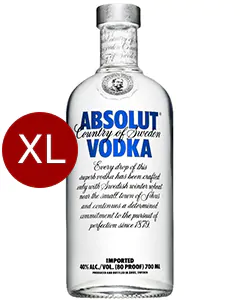 nep als je kunt Numeriek Absolut Vodka Original 4,5 liter XXL online kopen? | Drankgigant.nl